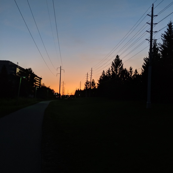 Meet your Posher, Gill - Picture 1 of 1